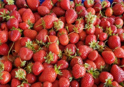 Riverdance Farm - Straw Berries
